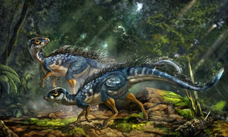 Dinosaurerne er måske ikke - som hidtil antaget - fuglenes forfædre. Her en tegning af Tianyulong confuciusi-donosaurer. 