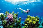  Great Barrier Reef ud for Australien. Snart en saga blot. Det her er i den grad et arkivfoto. Arkivfoto: Queensland Tourism/AP 