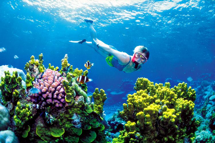  Great Barrier Reef ud for Australien. Snart en saga blot. Det her er i den grad et arkivfoto. Arkivfoto: Queensland Tourism/AP 