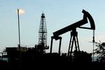 Oil Prices