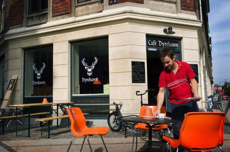 Café Dyrehaven har netop en  ambition om at flytte nattelivet uden for Københavns centrum. Det giver så til gengæld problemer med de mange mennesker, der bor i nærheden på Sønder Boulevard. Arkivfoto:  Søren Schnoor 