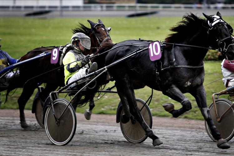 Arkivbillede fra Charlottenlund. 