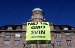 Greenpeace har længe været på barrikaderne imod genmodificerede fødevarer. Som her under en aktion på Axeltorv i Køebnhavn for nogle år siden. 