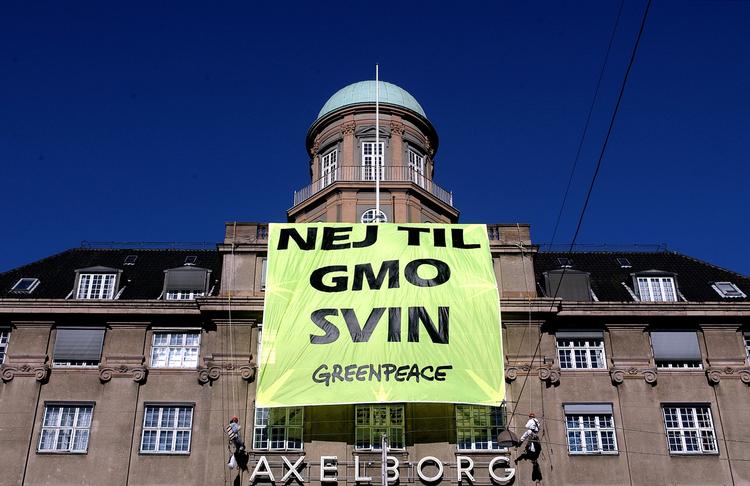 Greenpeace har længe været på barrikaderne imod genmodificerede fødevarer. Som her under en aktion på Axeltorv i Køebnhavn for nogle år siden. 