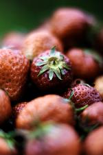 lolb_rnote_27-06-2009_4R7I58B.jpg