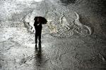 REGN. I denne uge kom det frem, at Jylland vil drukne i regnvand, hvis man ikke sætter ind over for klimaforandringer. Nye beregninger viser, at det kan blive billigere end først antaget at gennemføre omstillingen til grøn klimaøkonomi. Foto: Natacha Pisarenko 