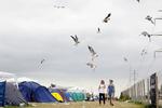 Teltpladserne er godt fyldte på Roskilde Festivalen, der sælger godt i de sidste dage, før musikken går i gang. 
