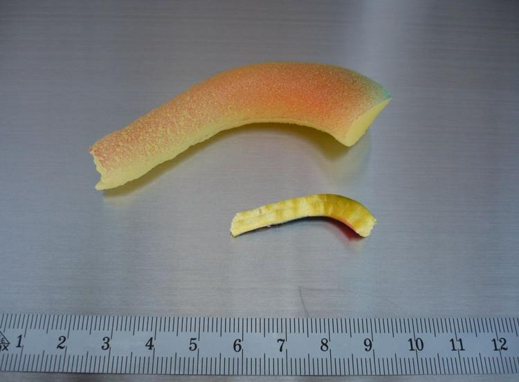 Blækspruttens arm kan hives af af selv et lille barn. I testen voksende den fra 4 centimeter til 7,8 centimeter i længden og fra 6 millimeter til 18 millimeter i tykkelsen efter 72 timer i vand. Foto: Forbrugerlaboratoriet. 