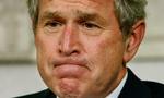 USA's præsident Barack Obama vil iværksætte en undersøgelse af, om hans forgænger George W. Bush forhalede en undersøgelse af drabene på mindst 1.000 taleban-fanger. 