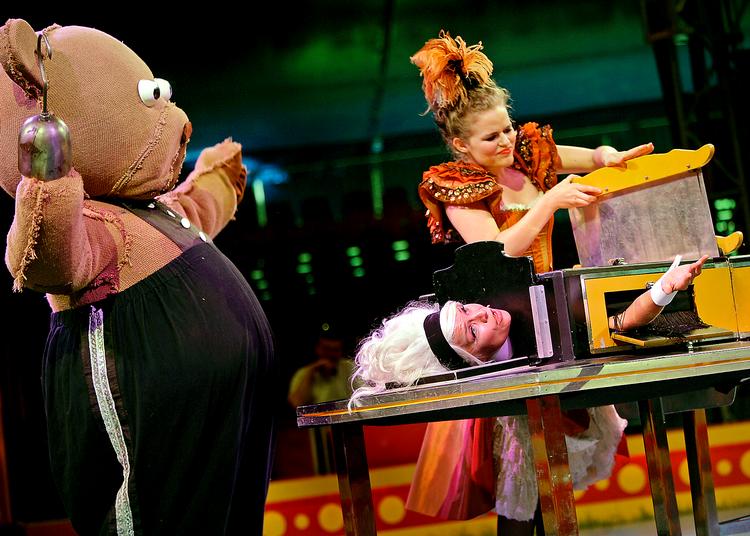 Et af numrene i Cirkus Summarum: Tv-værten Signe Lindkvist bliver skåret midt over, mens bjørnen Bruno ser betuttet til. Arkivfoto: Agnete Schlichtkrull, DR. 