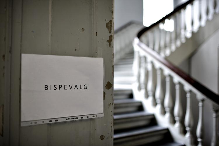 En revision af valgproceduren kræver en lovændring, og politisk får idéen en blandet modtagelse. 