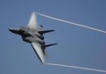 Det er et fly af typen F-15, der er styrtet i Afghanistan. 