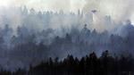 Canada Fire