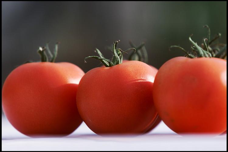 Tomater