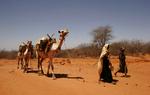 KENYA DROUGHT