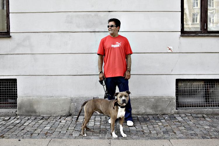 En af de berygtede kamphunde, en amstaff. Arkivfoto. 