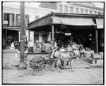 Det franske marked i New Orleans, fotograferet ca. år 1900. I øvrigt samtidig med at New Orleans senere nok mest berømte bysbarn, jazzmusikeren Louis Armstrong, blev født. Arkivfoto: Library of Congress 