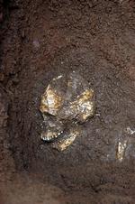 Forsøgene på mere præcist at datere et polynesisk skelet, som danske forskere har fundet, er indtil videre mislykkedes – måske fordi skelettet har været kogt. Polynesierne har nemlig praktiseret kannibalisme. Foto: Mads Ravn 