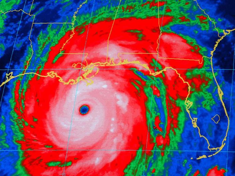 Sådan så det ud på et satellitbillede, da orkanen Katrina hærgede det sydlige USA i 2005. 