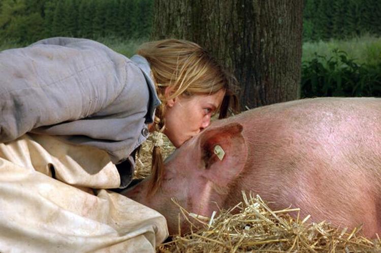 'Emmas lykke' er en både provokerende og stimulerende film. 