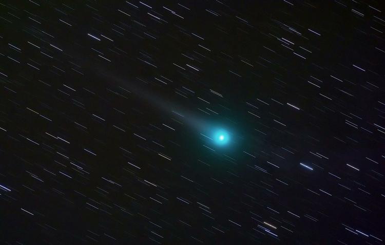 Kometen Lulin fotograferet, da den passerede Jorden i 61 millioner kilometers afstand. Arkivfoto. 
