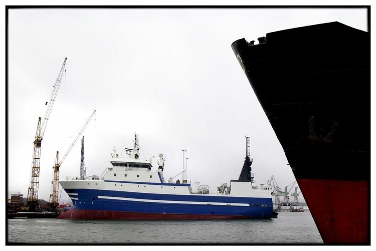 The Maestro Sun is on its way to Frederikshavn. Archive. 