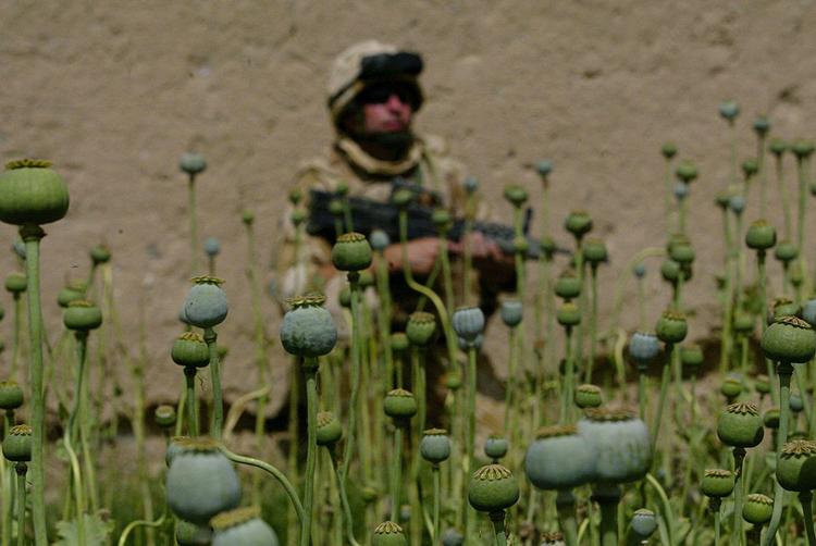 USA har skiftet strategi strategi til bekæmpelse af de afghanske opiumsproducenter, som finansierer Taleban-styrkerne. 