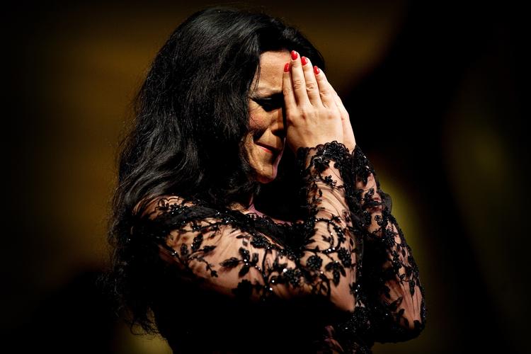 Angela Gheorghiu forstod at præsentere sig som den perfekte diva i Tivoli. 