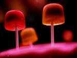 Tidligere forestillinger har blandt andet budt på merian lollipops (arkivfoto) 