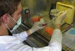 Tre nye H1N1-tilfælde i Danmark