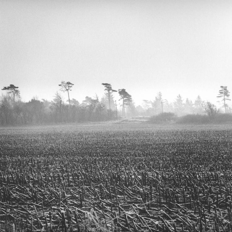 Sønderjylland, december 2008. 