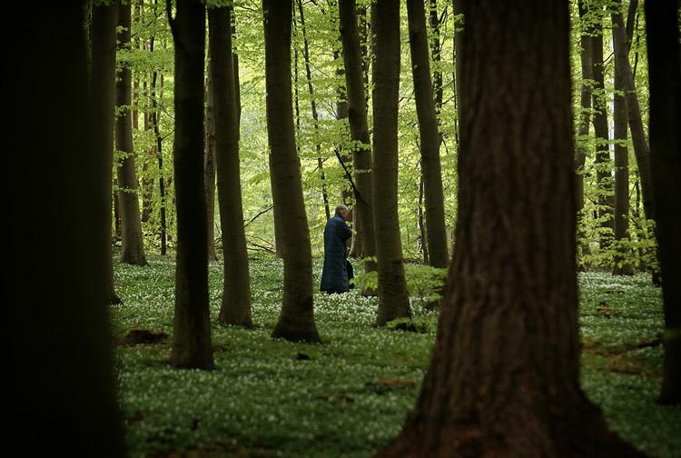 Statens Seruminstitut anbefaler, at danskerne er opmærksomme på flåtbid, når de går i skoven. 