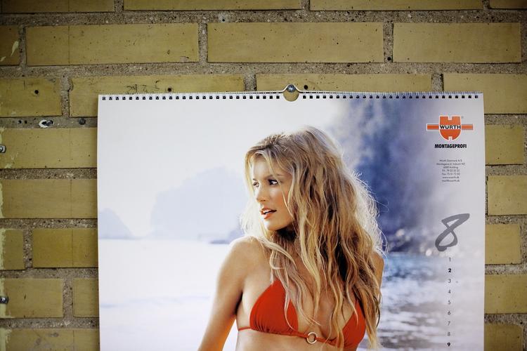 Würthkalenderen fra 2009 indeholder  billeder af supermodeller som Marisa Miller, Selita Ebanks and Bianca Balti. Dem er der mange på Teknisk Skole i Rødovre, der godt kan lide at kigge på. Dan Andersen er ikke en af dem. 