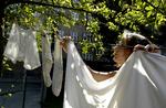 Nyt vaskemiddel kan vaske rent på 15 grader. Men der er grænser for, hvilken type vasketøj, du bør bruge det til. 