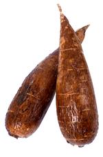 maniok