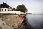 En villa i Hellerup beligggende helt ned til vandet. 