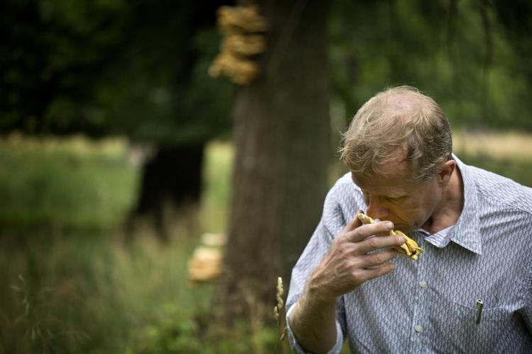 Brug din næse på svampejagt. Klassiske duftmarkører som mel, bagefad, metal og sæd kan hjælpe dig til at finde ud af, hvilken svamp du står med i hånden. 