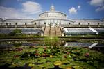 Botanisk Have