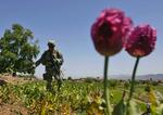 US Afghanistan Drugs