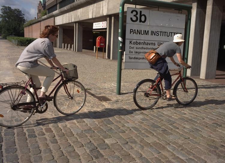 Panuminstituttet, der huser det sundhedsvidenskabelige fakultet under Københavns Universitet, skal være en del af den nye københavnske vidensbydel. (arkivfoto) 