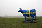 Af de 88 lande, som konsulentfirmaet KMPG har undersøgt, har Sverige og Danmark den højeste marginalskat. 