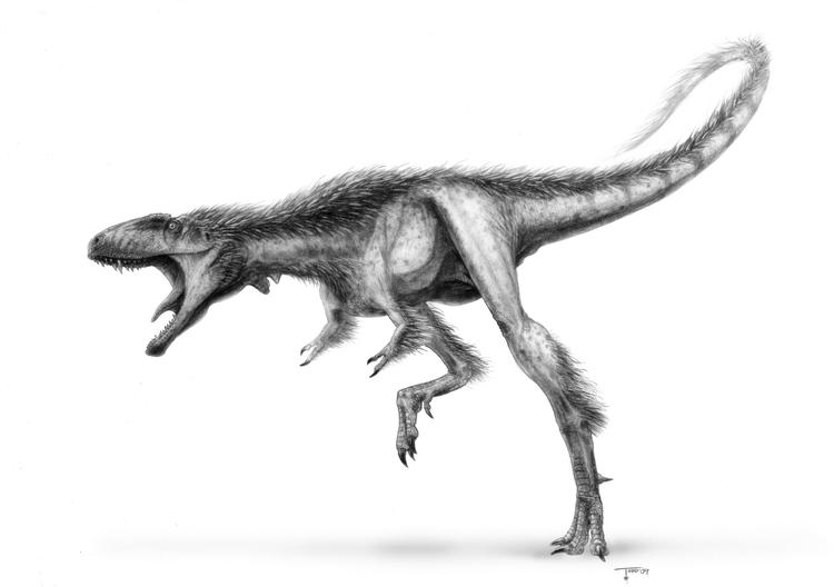 Raptorex har haft samme fysiske fremtoning som T. rex - Bare 100 gange mindre. 