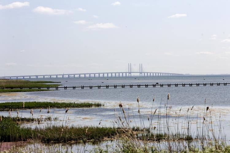 Udsigten i Dragør. 