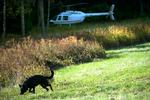 Helikopteren blev fundet omkring 30 kilometer fra værdidepotet nær Stockholm. 