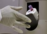 Mange forsøger at udvikle en aids-vaccine. Et af de seneste forsøg blev lanceret i Sydafrika i juli i år. Billedet er fra et laboratorie i Cape Town. (arkivfoto) 