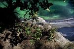 Miljøministeriet er ikke helt nået så langt, som de giver udtryk for til EU, mener miljøprofessor. Her er det Møns Klint, som også kan få prædikatet naturpark i fremtiden. 