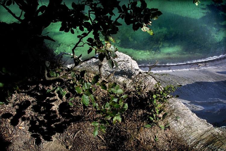 Miljøministeriet er ikke helt nået så langt, som de giver udtryk for til EU, mener miljøprofessor. Her er det Møns Klint, som også kan få prædikatet naturpark i fremtiden. 