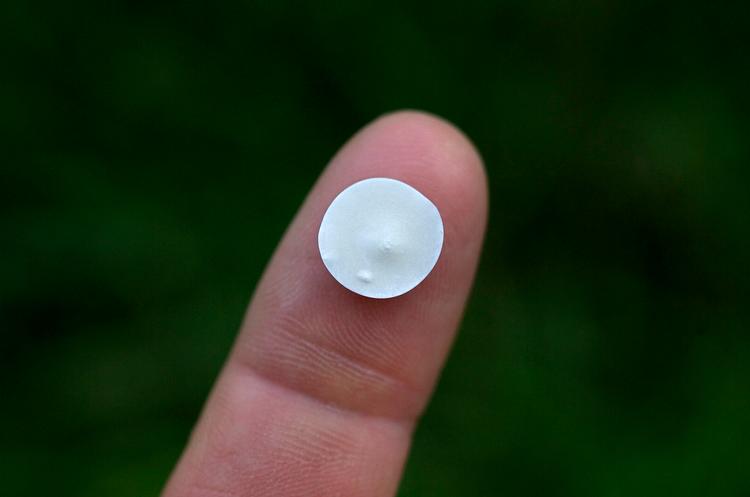 Tabletten fra Grazax dæmper symptomerne ved græsallergi, samtidig med at sygdommen behandles.  Arkivfoto 