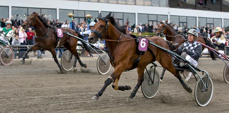 Onion F.H. (Axel Jacobsen) diskvalficeres, og Okay Bee (Flemming Jensen) til venstre får tilkendt sejren i Dansk Trav Kriterium. 