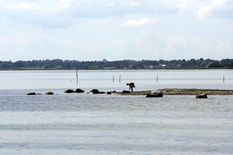 I Roskilde Fjord er otte meget små øer forsvundet i vandet de seneste 10 år. 